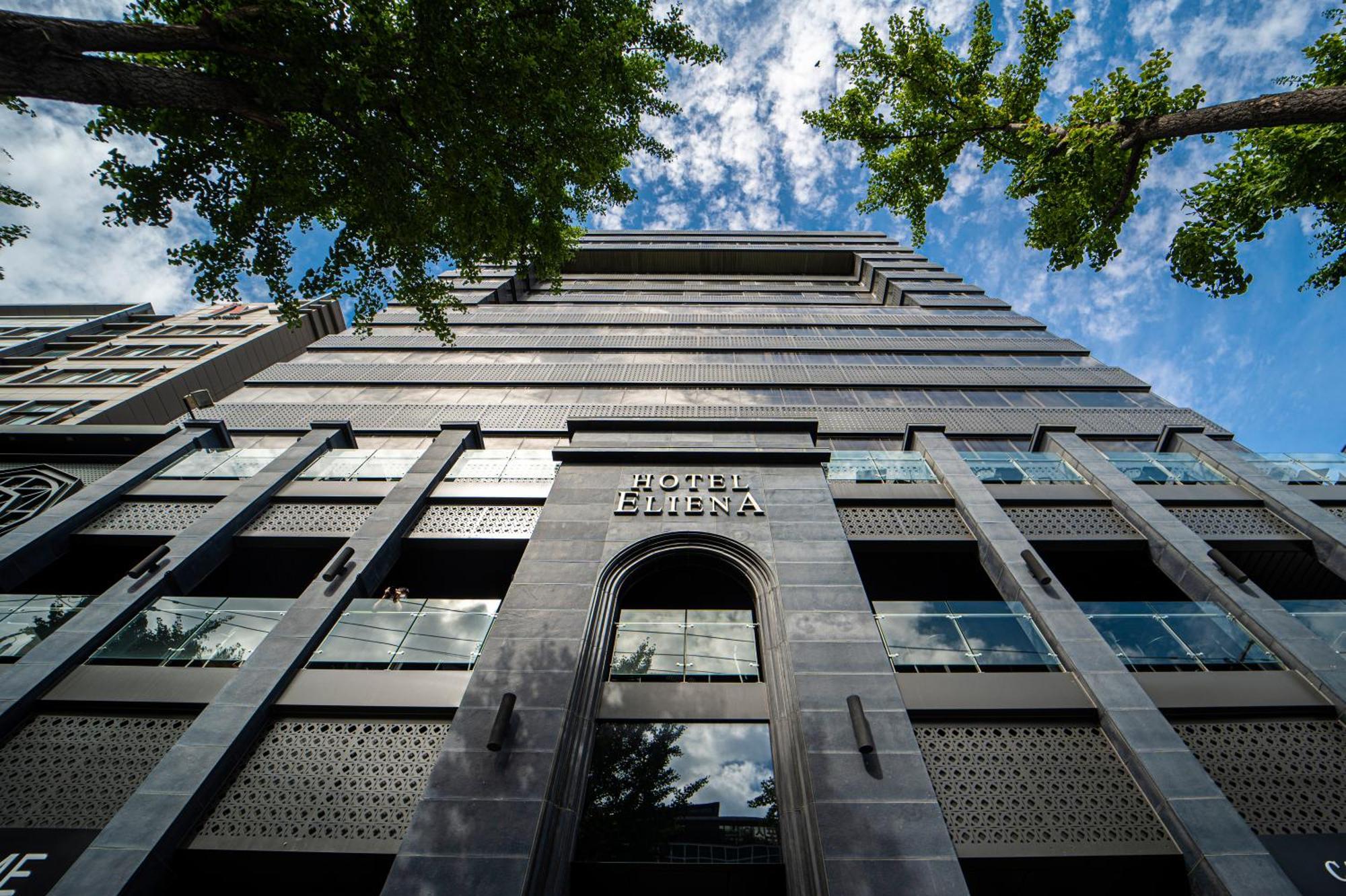 Eliena Hotel Seoul Gangnam Seul Exterior foto